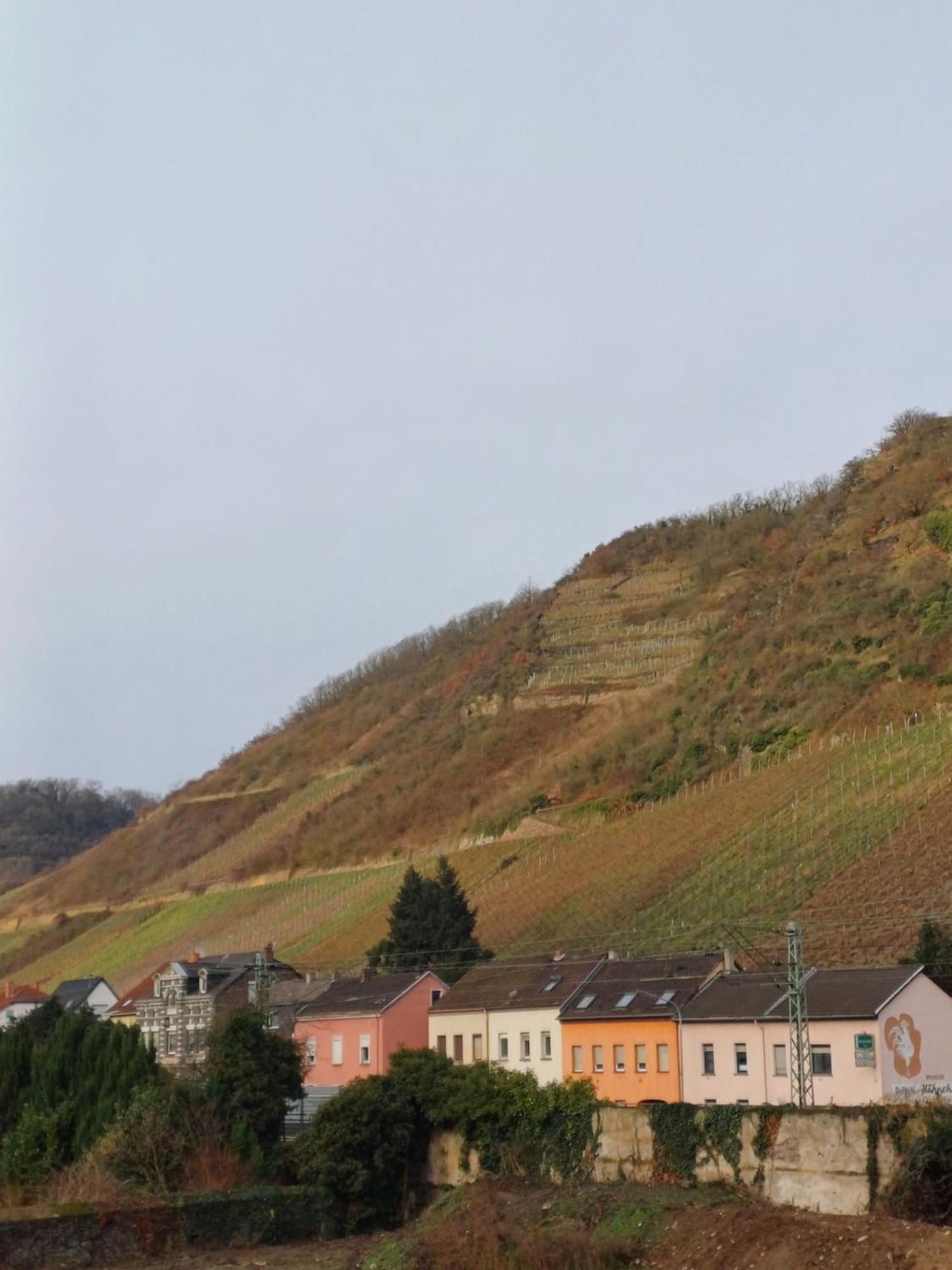 Casa Didi Apartman Leutesdorf Kültér fotó